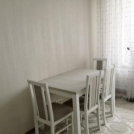 Center Apartment On Albisoara Street キシナウ エクステリア 写真