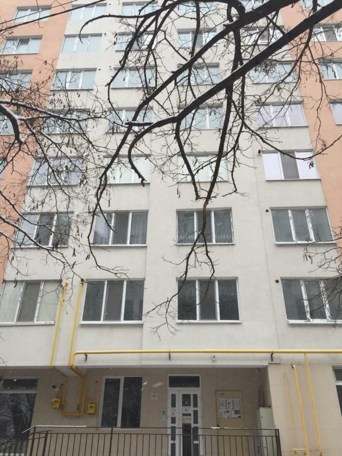 Center Apartment On Albisoara Street キシナウ エクステリア 写真