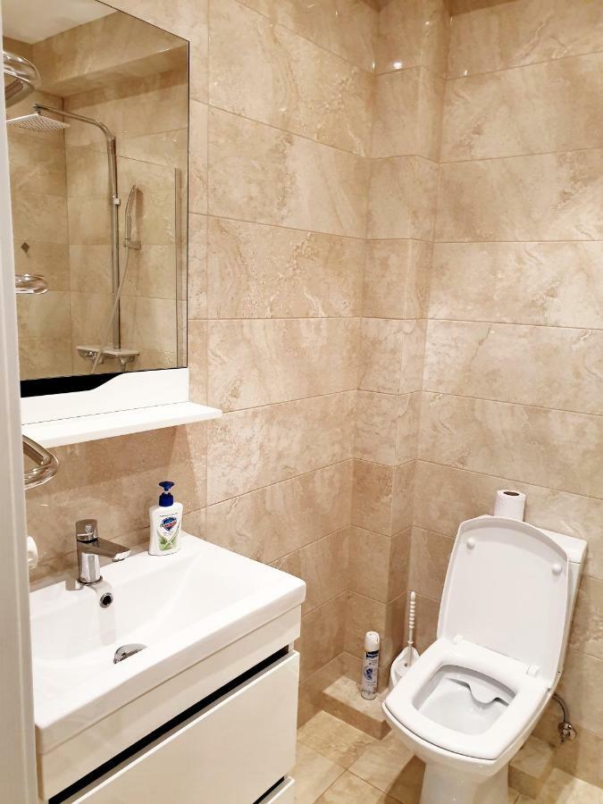 Center Apartment On Albisoara Street キシナウ エクステリア 写真