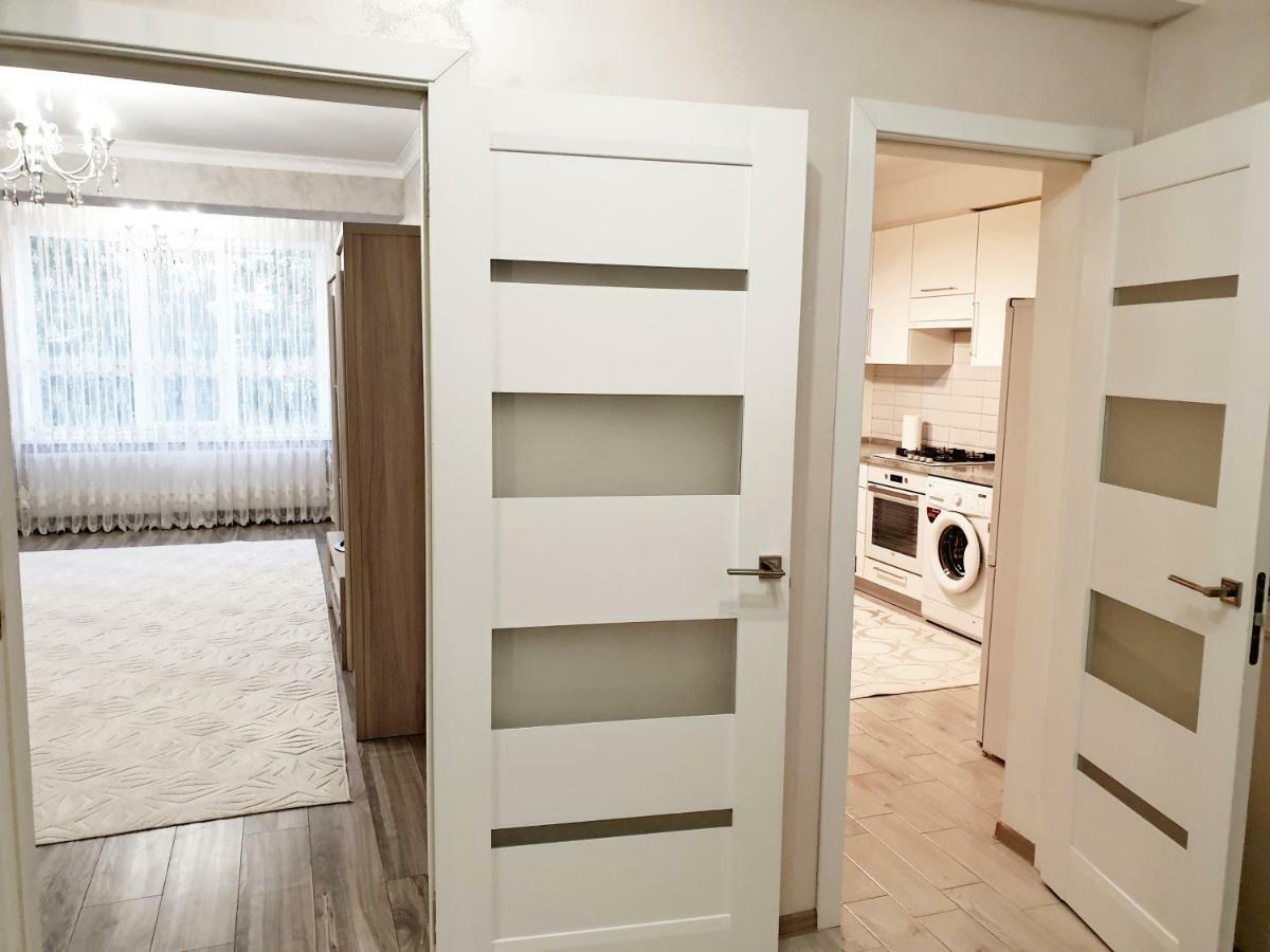 Center Apartment On Albisoara Street キシナウ エクステリア 写真