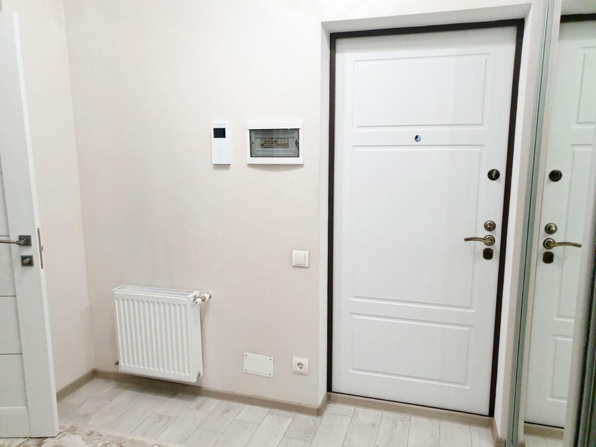 Center Apartment On Albisoara Street キシナウ エクステリア 写真